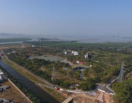 “我與福田紅樹林生態(tài)公園共成長(zhǎng)”照片征集活動(dòng)